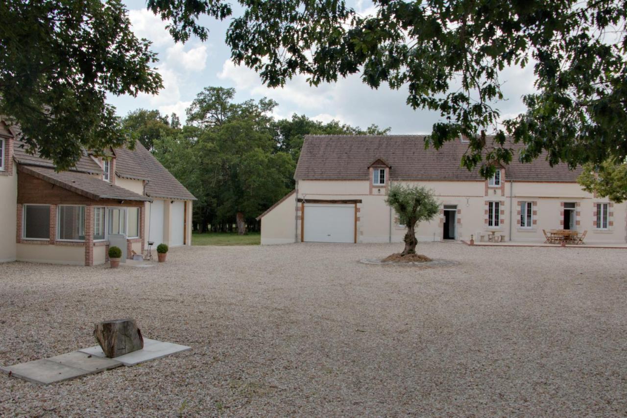 Gite De Villaine Theillay Exterior foto